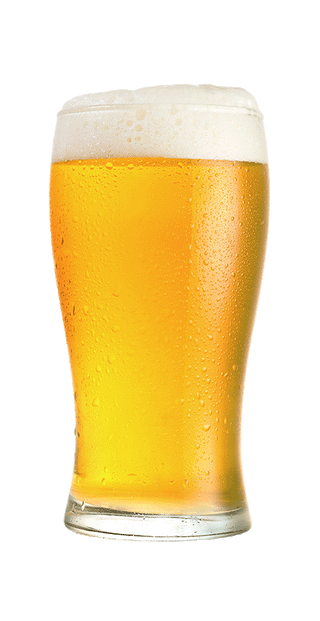 21st Amendment Brewery's Hell or High Twilight - Citrus Wheat Ale