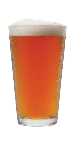 Brew Free! or Die Blood Orange IPA in a Pint Glass