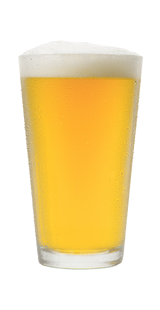21st Amendment Brewery's Coaster Pils Hoppy Pilsner in a Pint Glass