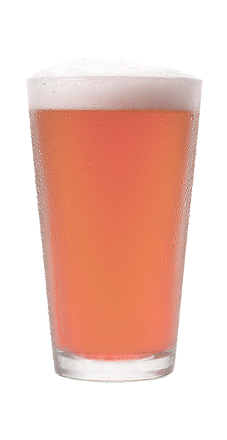 21st Amendment Brewery's Hell or High Pomegranate Pint Glass